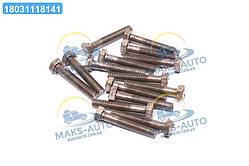 Болт М12х70х1, 75 шестигранний (1кг = 1 компл) ГОСТ 7805-70 (Україна) М12х70 UA56