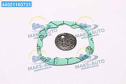 Випарник пальника Webasto з прокладкою AIR TOP 2000ST (TEMPEST) TP 251688077 UA56