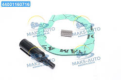 РМК пальника для обігрівача Eberspacher D2 (TEMPEST) TP 29219901 UA56