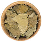 Гінкго білоба листя 150 г, фото 2