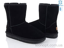 Уггі чоловічі "ITTS" H8825