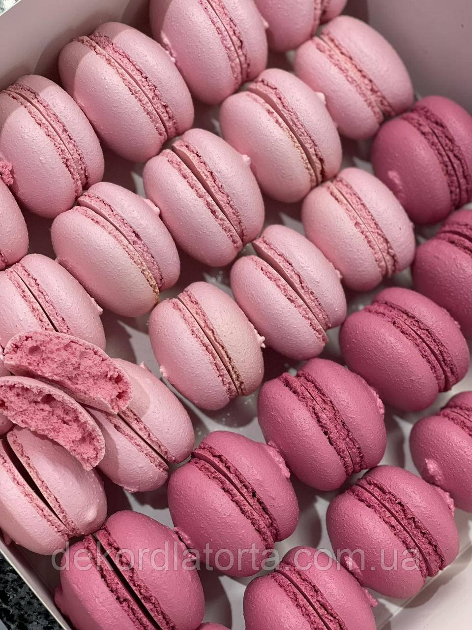 Барвник водорозчинний фуксія 5 гр