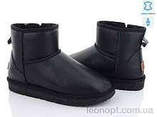 Уггі чоловічі "ITTS" H8854-6
