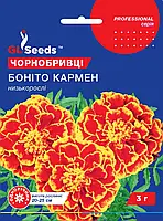 Бархатцы Бонито Кармен гвоздиковидные махровые теневыносливые обильно цветущий сорт, упаковка 3г