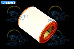 Фільтр повітряний ExtraClean  VAG (RIDER) REC130174 UA46