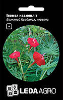 Семена ипомеи Огненный Кардинал, красная, 0.5 г, Hem Zaden BV, семена Леда Агро