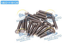 Болт М12х60х1, 75 шестигранний (1кг = 1 компл) ГОСТ 7805-70 (Україна) М12х60 UA46