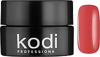 Гель-краска Kodi Professional 25