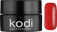 Гель-краска Kodi Professional 14
