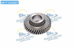 Шестерня 5-пер.пром.вала 31029, 3302 (RIDER) 31029-1701053-10 UA46