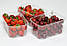 Блістерна одноразова упаковка для ягід, овочів, фруктів, грибів  ПЕТ (1 кг), 800шт/ящ, фото 3
