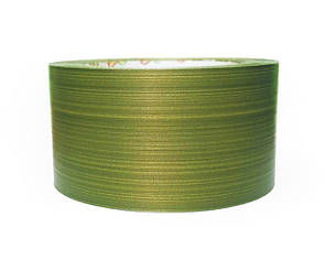 Лист аспідістра