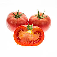 Томат MANUSA F1 (МАНУСА F1) Rijk Zwaan (1000 штук)