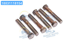 Болт М16х100х2,0 шестигранний (1кг = 1 компл) ГОСТ 7805-70 (Україна) М16х100 UA56