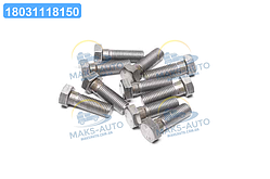 Болт М16х50х2,0 шестигранний (1кг = 1 компл) ГОСТ 7805-08 (Україна) М16х50 UA56