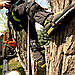 Edelrid Edelrid Talon Tree Spurs Long Gaff 70 мм, фото 11