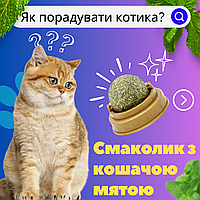 Кошачья мята, мятная игрушка для кошек и котов, шарик лакомство с кошачьей мятой