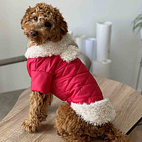 Куртка для собак з хутром утеплена, модель для дівчаток з закритим животиком, червоного кольору