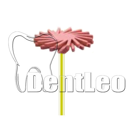 ПОЛІР ДЛЯ ОБРОБКИ ЦИРКОНІЮ Diang Fong - D26F