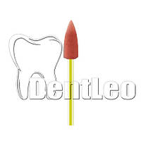 ПОЛІР ДЛЯ ОБРОБКИ ЦИРКОНІЮ Diang Fong - D203F