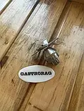 Ремкомплект на блендер Gastrorag, фото 3