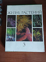 Жизнь растений 3 том 1977 год Водоросли Лишайники Просвещение