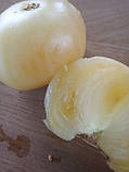 Насіння томату білого 5 грамів, фото 2