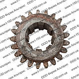 Шестірня Т-25Ф, Z = 21, нового зразка на 8 шліців, 25Ф.37.228-1, фото 2