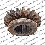 Шестірня Т-25Ф, Z = 21, нового зразка на 8 шліців, 25Ф.37.228-1, фото 3