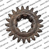 Шестірня Т-25Ф, Z = 21, нового зразка на 8 шліців, 25Ф.37.228-1, фото 5