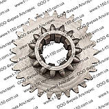 Шестірня Т-25Ф, Z = 29х15, 8 шліців, Д=42, 25Ф.37.229-1, фото 2