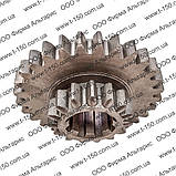 Шестірня Т-25Ф, Z = 29х15, 8 шліців, Д=42, 25Ф.37.229-1, фото 4