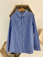 Детская рубашка в полоску 5736 Buddy, Голубой, Унисекс, Весна Осень, 15/16 лет