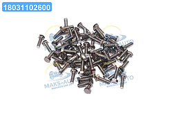 Болт М8х25х1, 25 шестигранний (1кг = 1 компл) ГОСТ 7805-70 (Україна) М8х25 UA56