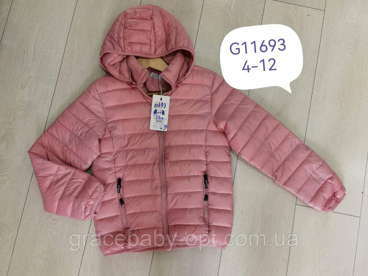 Куртка для дівчат , Grace, 4-12 років, № G11693, фото 1
