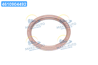 Сальник двигуна (вир-во PAYEN) NJ873 UA46