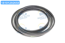 Ремінь клиновий CLAAS (644368.1) (OPTIBELT) 1000858 UA56