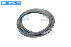Ремінь клиновий з кевларовим кордом CNH 16F1956 (80387931; 84073457)(CARLISLE) HB77 UA46