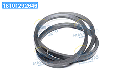 Ремінь клиновий CNH (829094.0) (OPTIBELT) 1000245 UA56