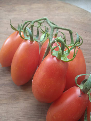 Семена томата черри перцевидный 5 грамм (ID#1932610533), цена: 110 ...