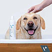 VetExpert (ВетЕксперт) Hypoallergenic Shampoo – гіпоалергенний шампунь для собак та кішок, фото 2