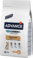 Сухой корм для собак для йоркширских терьеров Advance Dog Yorkshire Terrier 1.5 кг