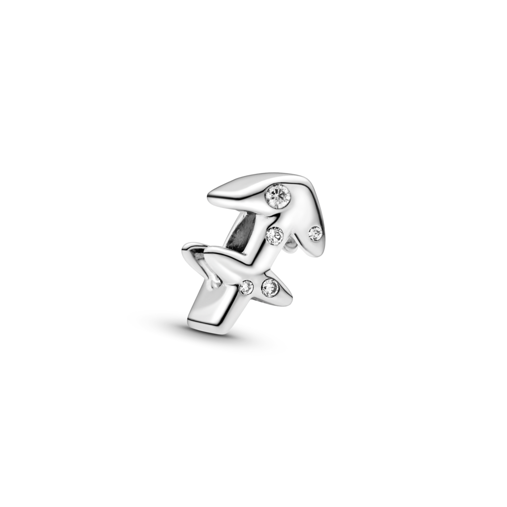 Срібний шарм No Brand 798419C01