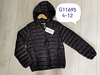 Куртки детские для девочек Grace 4-12 лет. оптом G11695