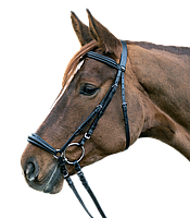 Уздечка Star Bridle Hannover