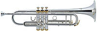 Труба J.MICHAEL TR-500S (S) Trumpet PRF PRP