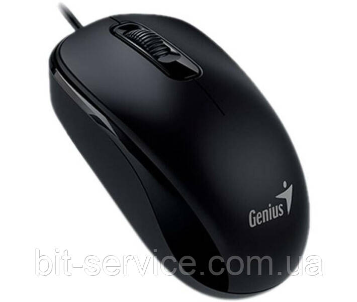 Мишка Genius DX-110 USB Black (31010116100)