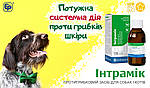 ЕНКОН ТА ІНТРАМІК-ПРОСТЕ ЛІКУВАННЯ ГРИБКОВИХ ХВОРОБ