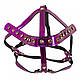 Упряжка для голови Bad Kitty Head Harness, фото 3