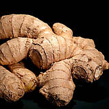 Парфуми для чоловіків Yodeyma RESOLU 15 мл, фото 4